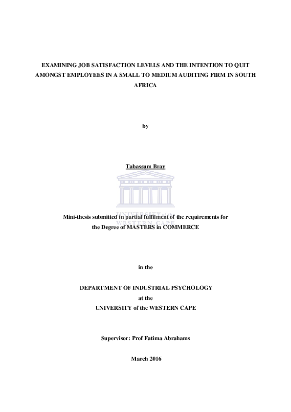 (PDF) Examining job satisfaction levels and the intention to quit