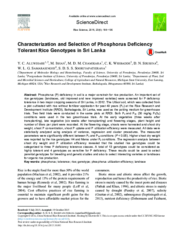 (PDF) Characterization and Selection of Phosphorus Deficiency Tolerant ...