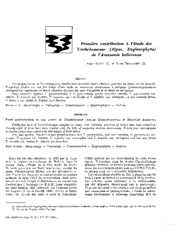 (PDF) Natural Language Processing and Cognitive Science