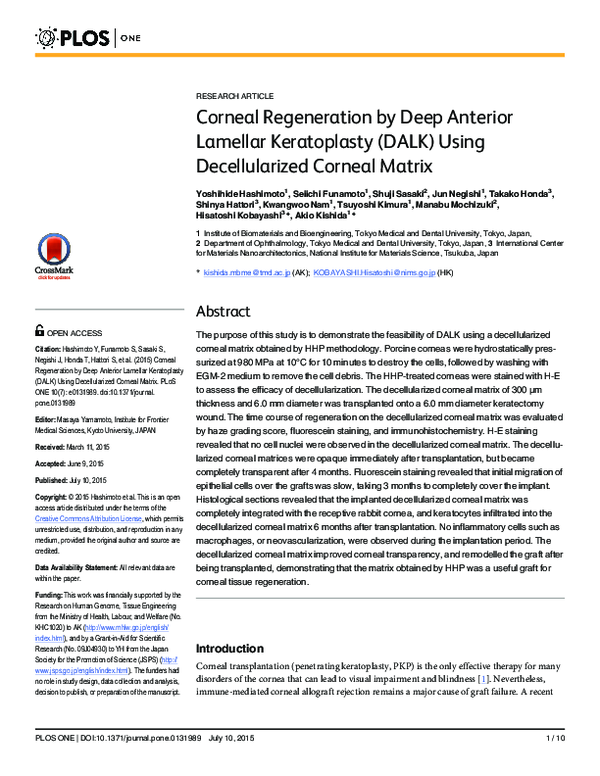 (PDF) Corneal Regeneration by Deep Anterior Lamellar Keratoplasty (DALK ...
