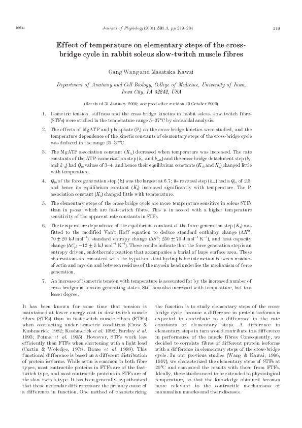 (PDF) Effect of temperature on elementary steps of the cross-bridge ...