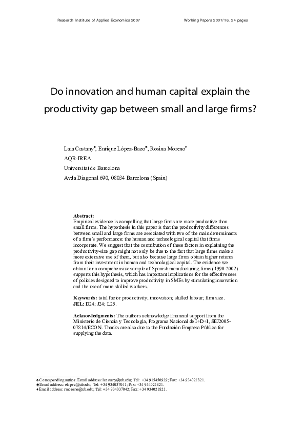 (PDF) Do innovation and human capital explain the productivity gap ...