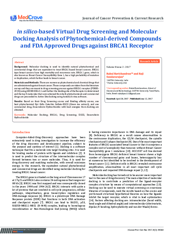 (PDF) In silico-Based Virtual Drug Screening and Molecular Docking ...