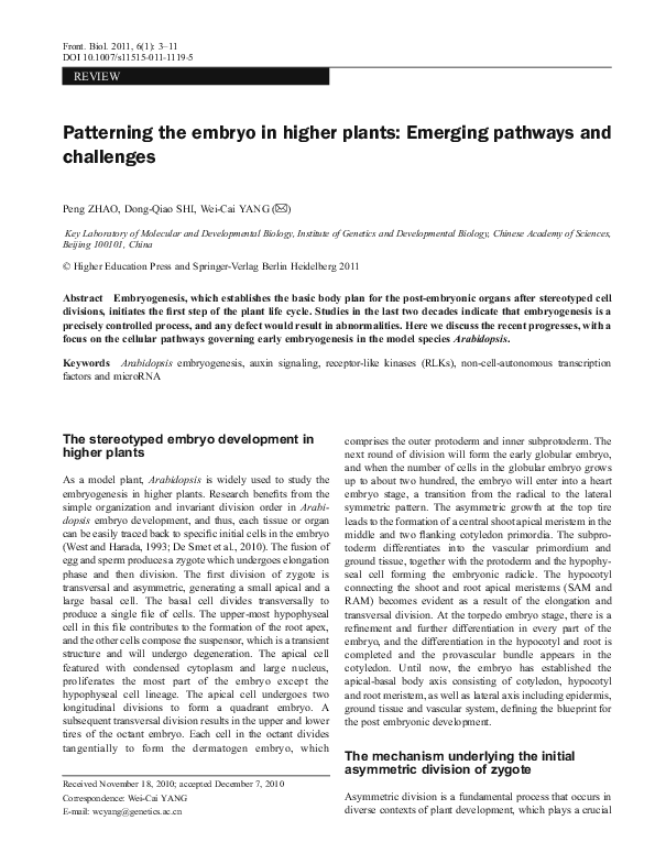 (PDF) Patterning the embryo in higher plants: Emerging pathways and ...