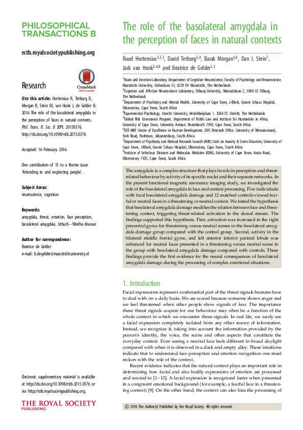 (PDF) The role of the basolateral amygdala in the perception of faces ...
