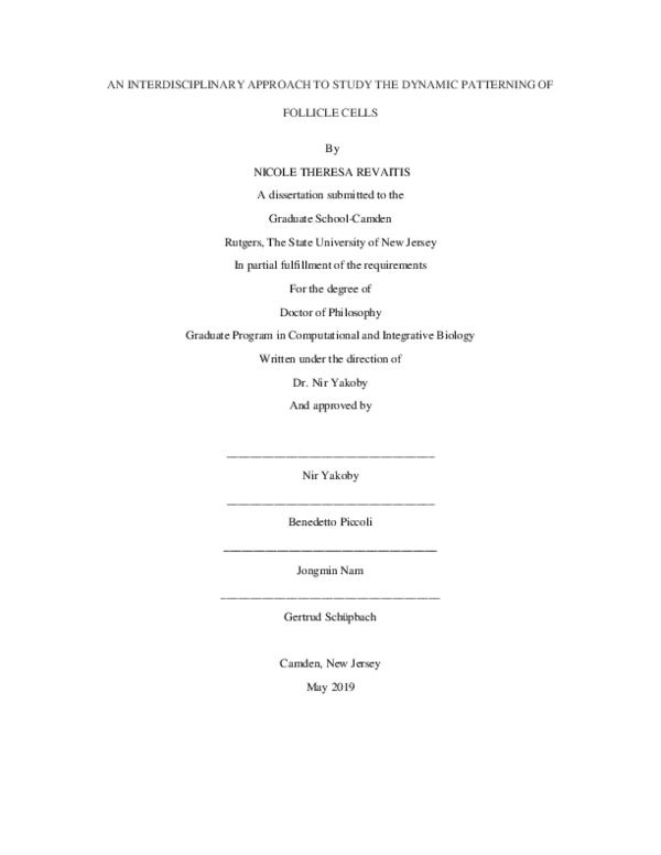 An interdisciplinary approach to study the dynamic patterning of follicle cells