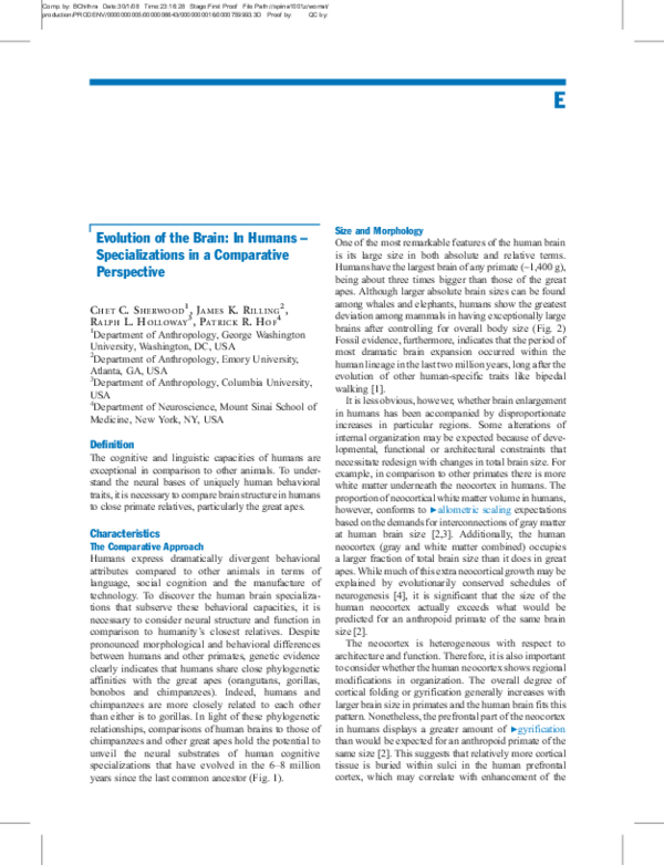 (PDF) Evolution of the Brain in Humans – Specializations in a ...