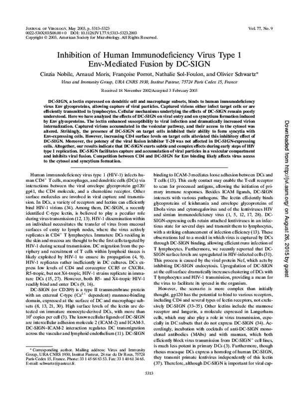 (PDF) Inhibition of human immunodeficiency virus type 1 infection and ...