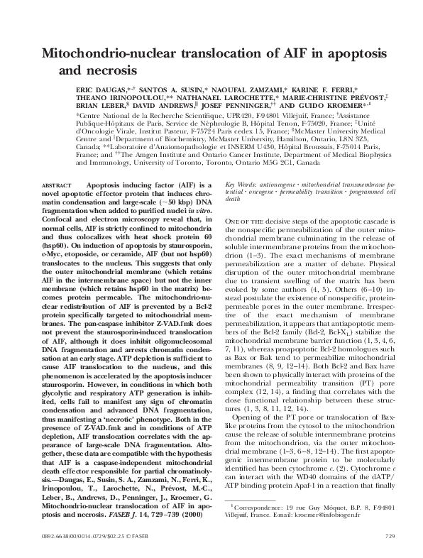 (PDF) Mitochondrio-nuclear translocation of AIF in apoptosis and necrosis