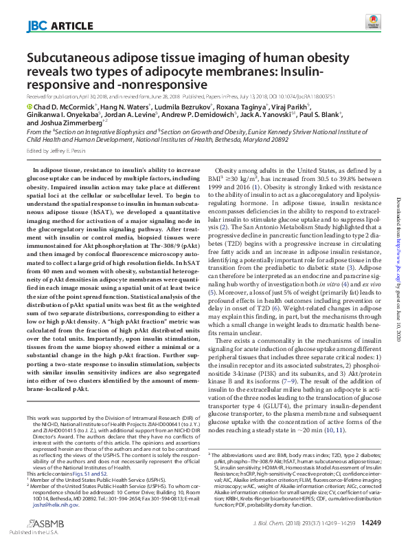 (PDF) Subcutaneous adipose tissue imaging of human obesity reveals two ...