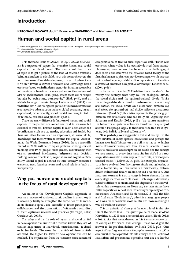 (PDF) Human and social capital in rural areas