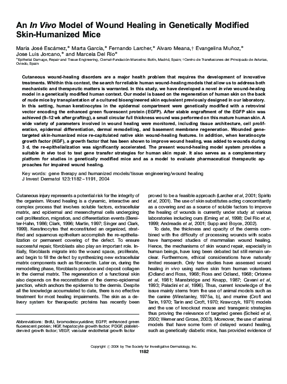 (PDF) An In Vivo Model of Wound Healing in Genetically Modified Skin ...