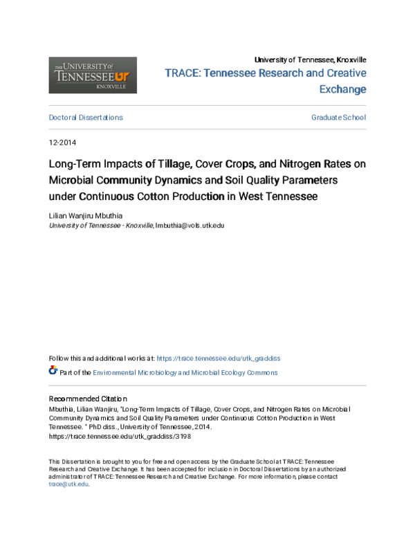 (PDF) Long-Term Impacts of Tillage, Cover Crops, and Nitrogen Rates on ...