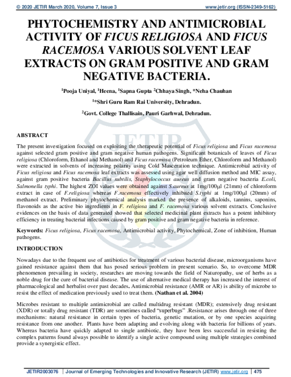(PDF) Phytochemistry and Antimicrobial Activity of Ficus Religiosa and ...