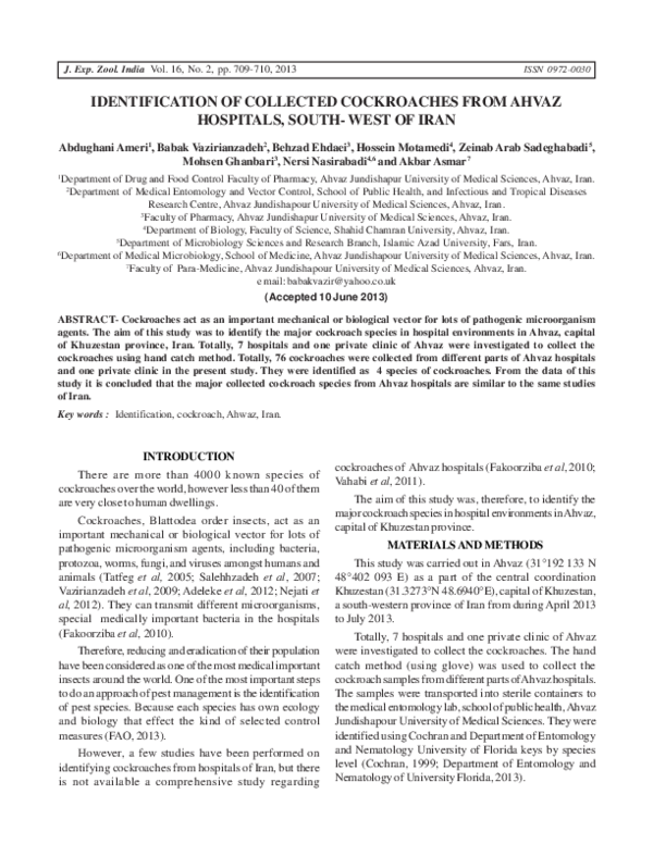 (PDF) Identification of Collected Cockroaches from Ahvaz Hospitals ...
