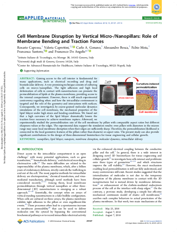(PDF) Cell membrane disruption by vertical Micro/Nano pillars the role of membrane bending and