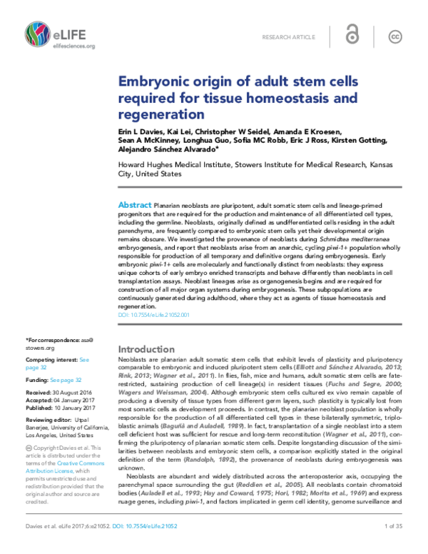 (PDF) Embryonic origin of adult stem cells required for tissue ...