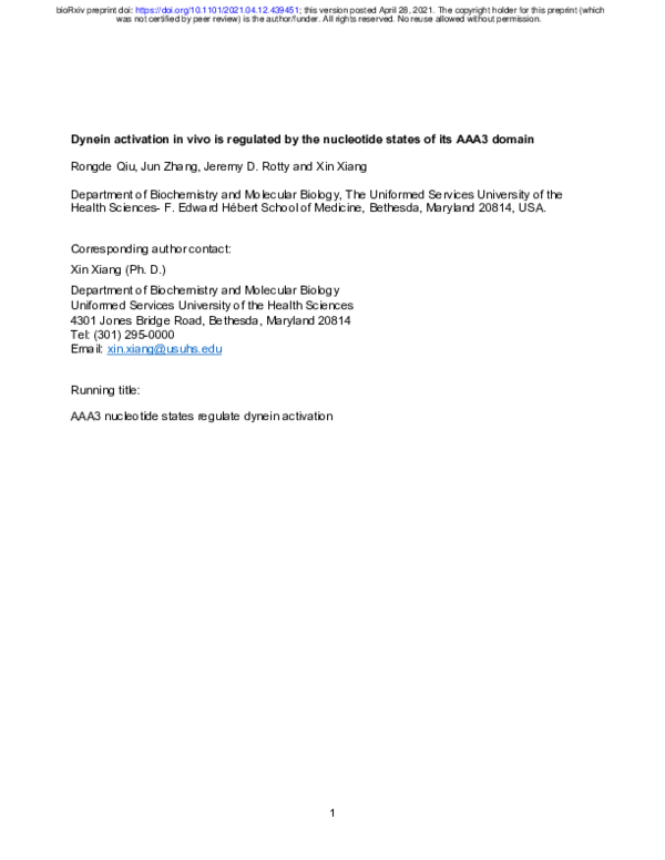 (PDF) Dynein activation in vivo is regulated by the nucleotide states ...