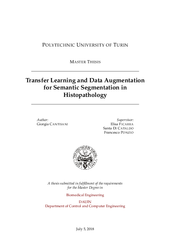 (PDF) Transfer Learning and Data Augmentation for Semantic Segmentation ...