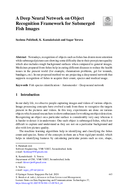 (PDF) A Deep Neural Network on Object Recognition Framework for ...