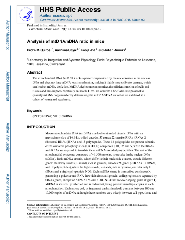 (PDF) Analysis of mtDNA/nDNA Ratio in Mice
