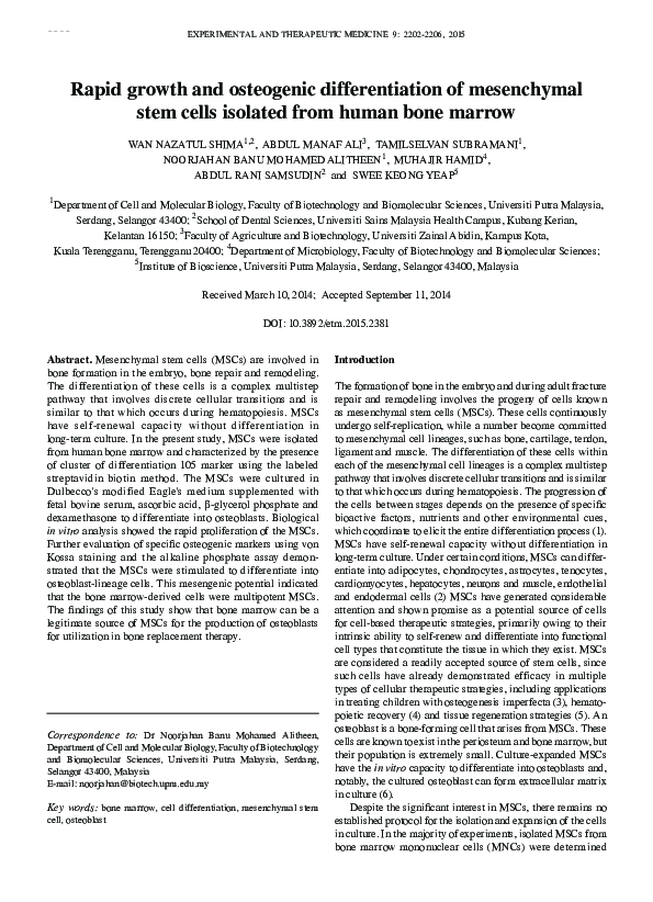 (PDF) Rapid growth and osteogenic differentiation of mesenchymal stem ...