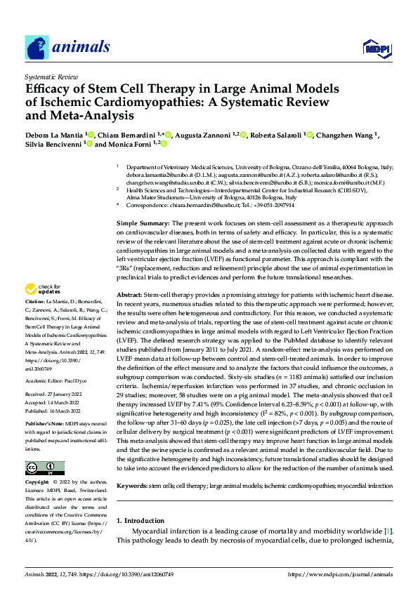 (PDF) Efficacy of Stem Cell Therapy in Large Animal Models of Ischemic ...