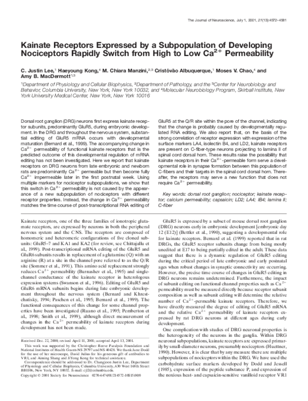 (PDF) Kainate receptors expressed by a subpopulation of developing ...