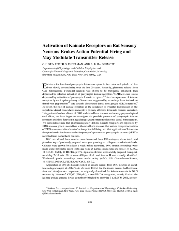 (PDF) Activation of kainate receptors on rat sensory neurons evokes ...