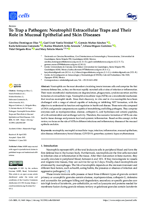 (PDF) To Trap a Pathogen: Neutrophil Extracellular Traps and Their Role ...