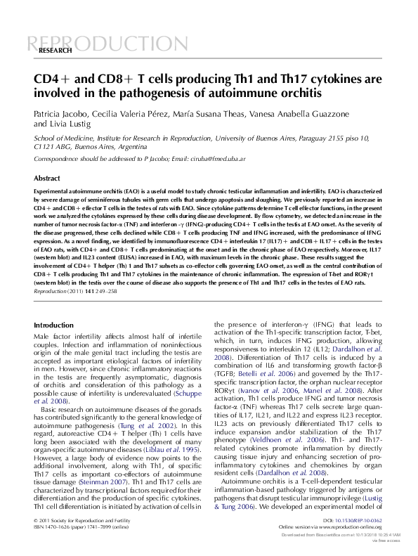 (PDF) CD4+ and CD8+ T cells producing Th1 and Th17 cytokines are ...