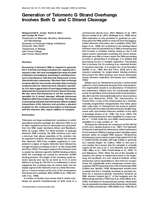 (PDF) Generation of Telomeric G Strand Overhangs Involves Both G and C ...