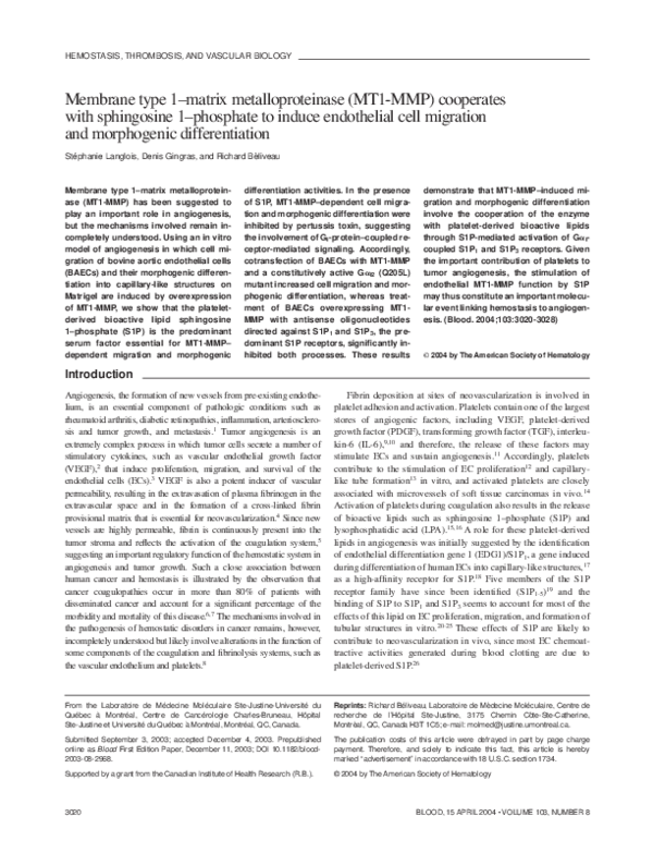 (PDF) Membrane type 1-matrix metalloproteinase (MT1-MMP) cooperates ...