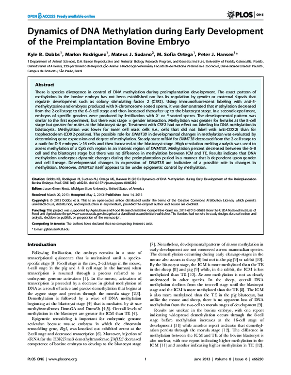 (PDF) Dynamics of DNA Methylation during Early Development of