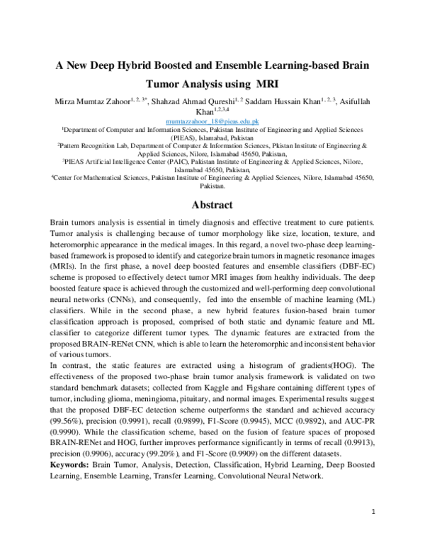 (PDF) A New Deep Hybrid Boosted and Ensemble Learning-based Brain Tumor ...