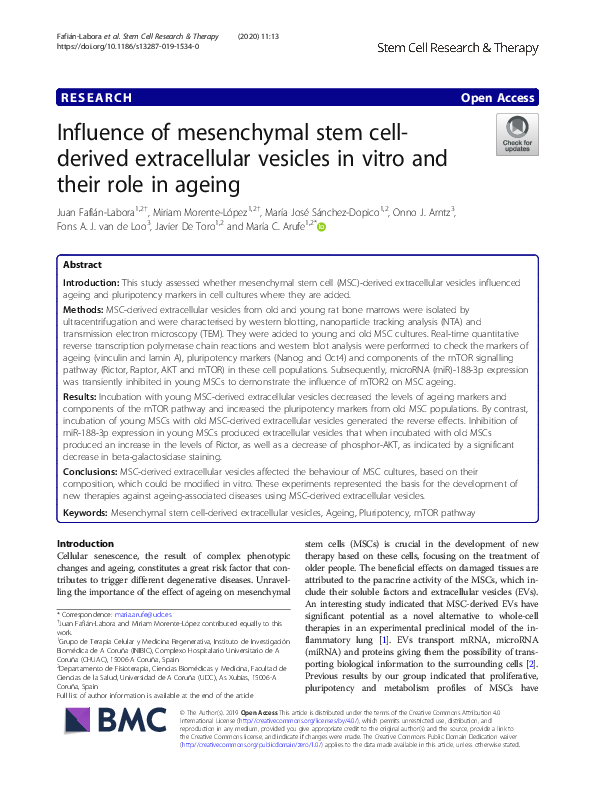 (PDF) Influence of mesenchymal stem cell-derived extracellular vesicles ...