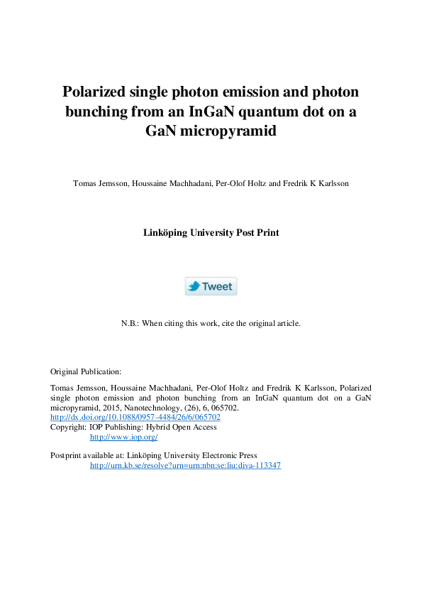 (PDF) Polarized single photon emission and photon bunching from an ...