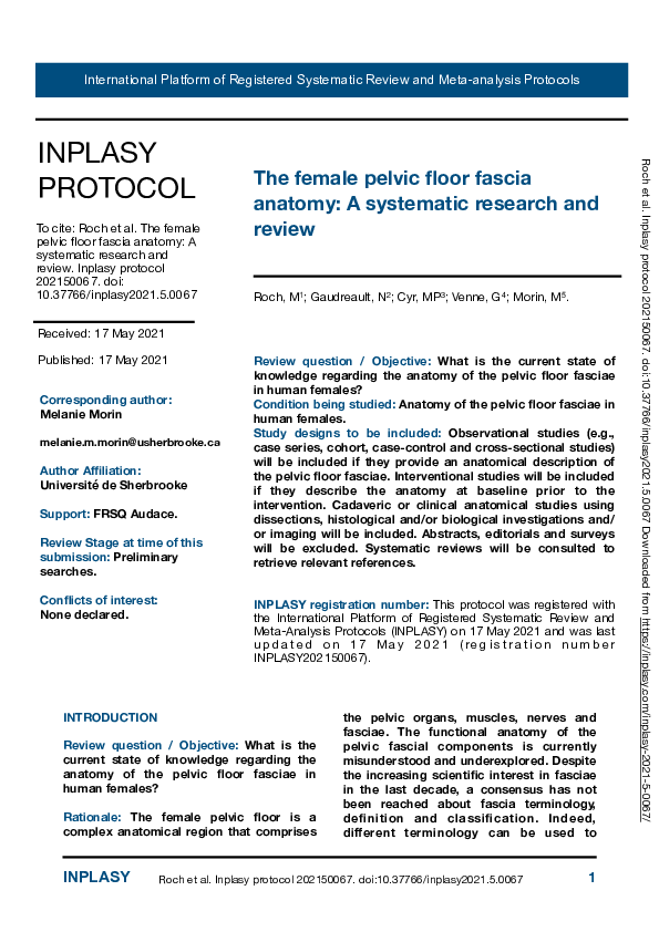 (PDF) The female pelvic floor fascia anatomy: A systematic research and ...