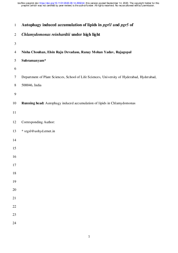 (PDF) Autophagy induced accumulation of lipids in pgrl1 and pgr5 of ...