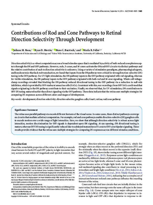 (PDF) Contributions of Rod and Cone Pathways to Retinal Direction ...
