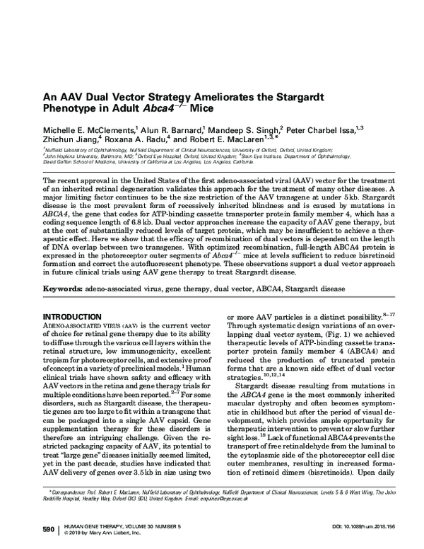 (PDF) An AAV dual vector strategy ameliorates the Stargardt phenotype ...