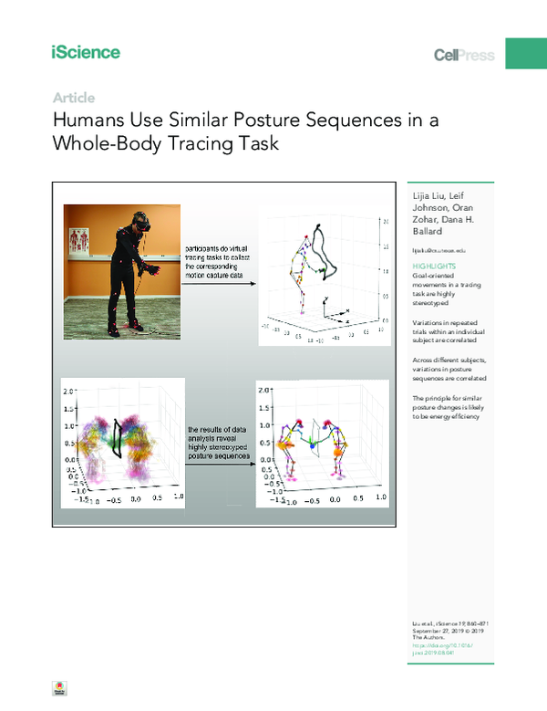 (PDF) Humans Use Similar Posture Sequences in a Whole-Body Tracing Task