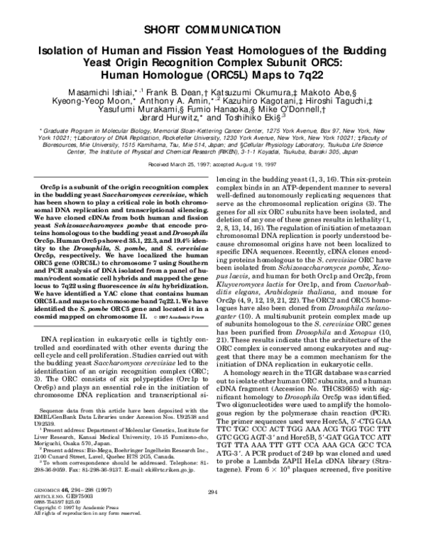 (PDF) Isolation of Human and Fission Yeast Homologues of the Budding ...