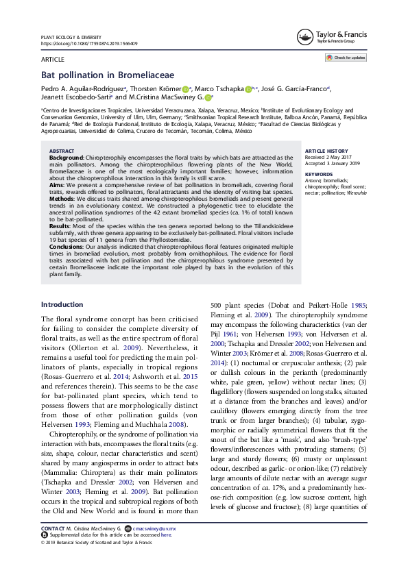 (PDF) Bat pollination in Bromeliaceae Pedro Adrián Aguilar Rodríguez
