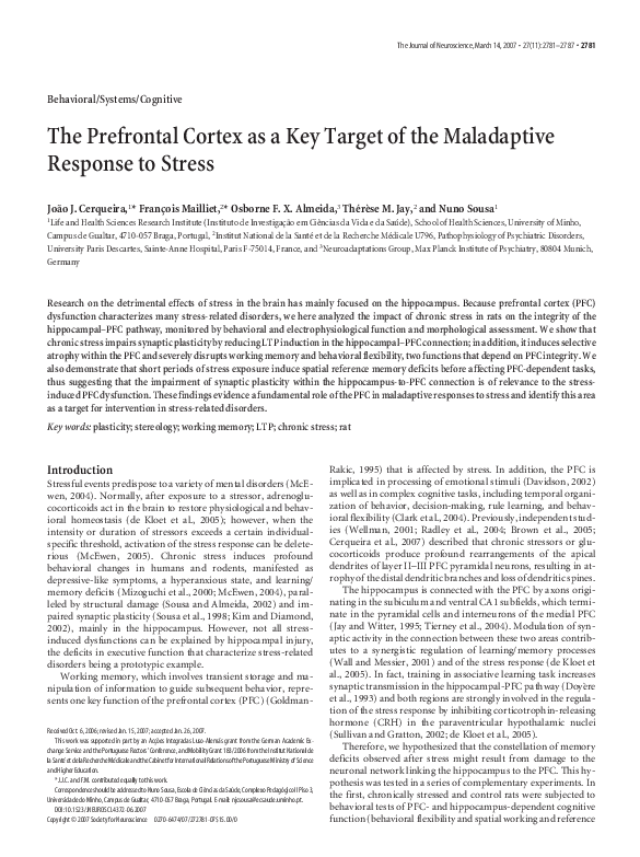(PDF) The Prefrontal Cortex as a Key Target of the Maladaptive Response ...
