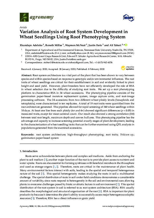 (PDF) Variation Analysis of Root System Development in Wheat Seedlings ...