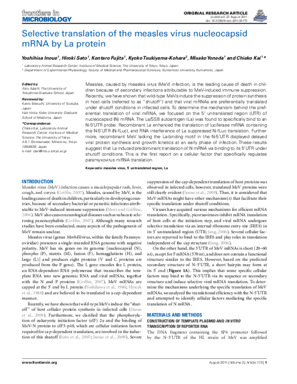 (PDF) Selective translation of the measles virus nucleocapsid mRNA by ...