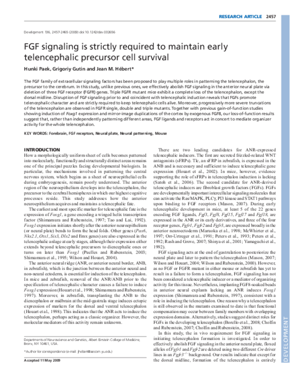 (PDF) FGF signaling is strictly required to maintain early ...