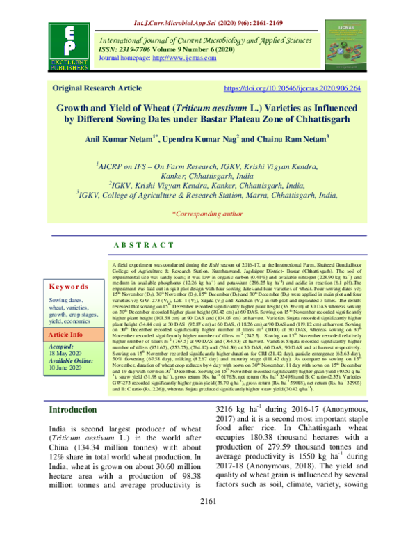 (PDF) Growth and Yield of Wheat (Triticum aestivum L.) Varieties as ...