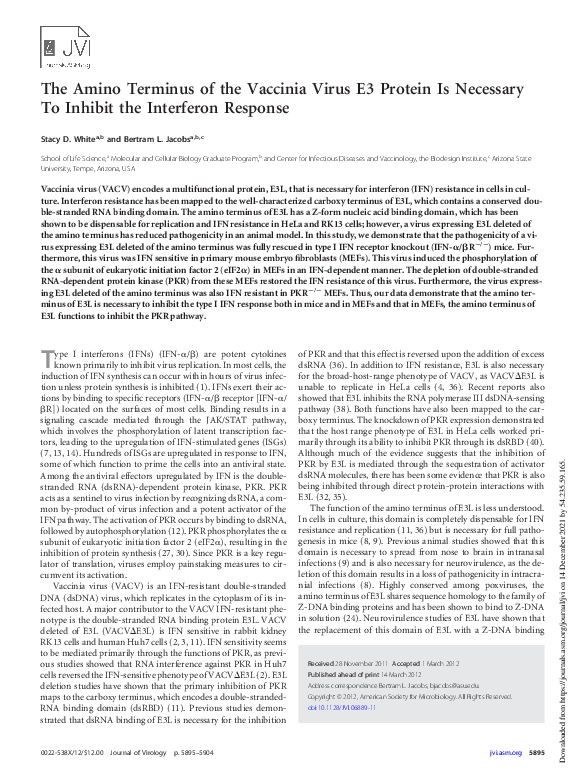 (PDF) The Amino Terminus of the Vaccinia Virus E3 Protein Is Necessary ...